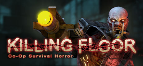 killing floor 2 how to play multiplayer no steam
